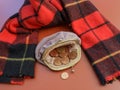 Purse with euro cent coins by winter scarf Royalty Free Stock Photo