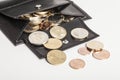 Purse with Euro coins Royalty Free Stock Photo