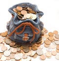 Purse with money Royalty Free Stock Photo