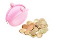 Purse with money Royalty Free Stock Photo
