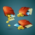 Purse with money, credit cards and coins. Vector
