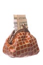 Purse with Money Isolated Royalty Free Stock Photo