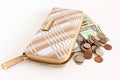 Purse and money Royalty Free Stock Photo