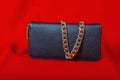 Purse and a necklace on red background Royalty Free Stock Photo