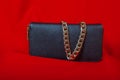 Purse and a necklace on red background Royalty Free Stock Photo