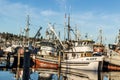 Purse seiners moored at fisherman`s terminal in Seattle Washington.