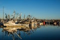 Purse seiners moored at fisherman`s terminal in Seattle Washington.