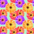 Purslane, portulaca. Seamless pattern texture of flowers. Floral