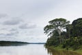 Purus river, trees and sky Royalty Free Stock Photo