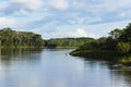 The purus river and tropical forest Royalty Free Stock Photo