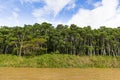 The purus river and tropical forest Royalty Free Stock Photo