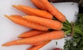 Pusa Nayanjyoti Hybrid carrot Royalty Free Stock Photo