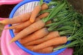 Pusa Nayanjyoti Hybrid carrot Royalty Free Stock Photo