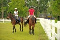 Perlis Equine Centre Royalty Free Stock Photo