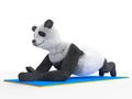 Panda push ups