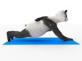 Panda one arm push up