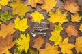 Red pushcart and colorful autumn leaves over wooden background. fall sale season concept Royalty Free Stock Photo