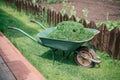 Pushcart full of cutted grass