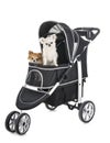 Pushchair for dog