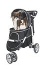 Pushchair for dog Royalty Free Stock Photo