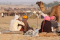 Pushkar Camel Fair Royalty Free Stock Photo