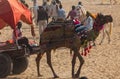 Trades of camels in Pushkar Royalty Free Stock Photo