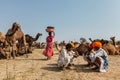 Indian men and camels at Pushkar camel fair (Pushkar Mela) Royalty Free Stock Photo