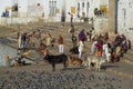 Pushkar Lake