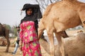 Pushkar, Rajasthan / India- June 5 2020 : A girl hiding her face from sunlight with many camels in her background during Camel