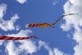 Festival of kites in St. Petersburg.