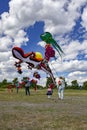 Festival of kites in St. Petersburg.