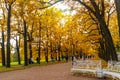 PUSHKIN, ST. PETERSBURG, RUSSIA - OCTOBER 21, 2024: View of Catherine Park in autumn in Tsarskoye Selo. Royalty Free Stock Photo