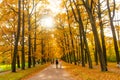 PUSHKIN, ST. PETERSBURG, RUSSIA - OCTOBER 21, 2024: View of Catherine Park in autumn in Tsarskoye Selo. Royalty Free Stock Photo