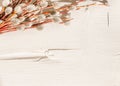 Pussy willow branches on a white wooden background and harsh shadows. Spring, Easter concept. Flat lay, top view, rustic