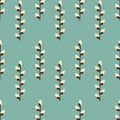 Pussy willow catkins on spearmint colour background repeat pattern