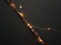 Pussy willow decorative twigs wrapped in led lights garland on a black background