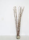 willows vase