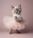 Pussycat in ballerina tutu dress, dancing in studio. Generative Ai