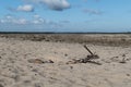 Pustynia Bledowska desert in the southern poland