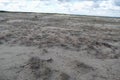 Pustynia Bledowska desert in the southern poland