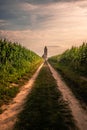 Church ruins in Hungary in the middle of a cornfield. She stands on Lake Balaton in Somogyvamos, photographed romantic sunset Royalty Free Stock Photo