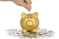 Put Coin Into Piggy Bank Royalty Free Stock Photo