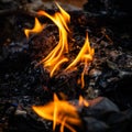Put fire to the garbage in the backyard Royalty Free Stock Photo