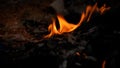 Put fire to the garbage collection in backyard Royalty Free Stock Photo