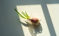 put the green onions on table to check their growth condition. water planting vegetable with seedball. hydroponic ?