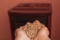 put the methane pellet granules inside the pellet stove