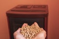 put the methane pellet granules inside the pellet stove