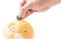 Put money to piggy bank Royalty Free Stock Photo