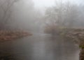 Putah Creek in Davis, California, USA