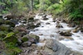 Putah Creek tributary in the Spring